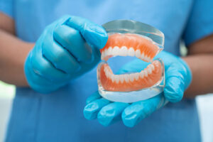 dentist holding dental teeth model