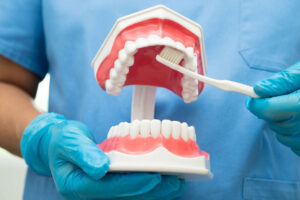Dentist wearing blue gloves demonstrating tooth brushing technique on a dental model.
